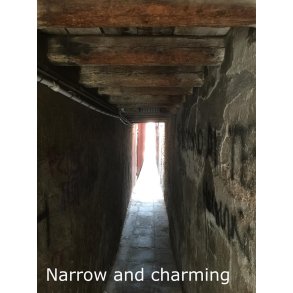 Venice, Dorsoduro e Giudecca