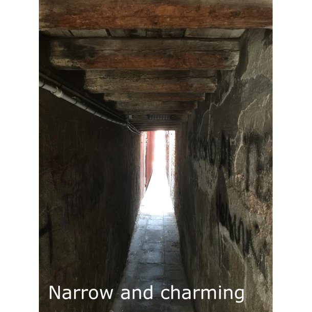 Venice, Dorsoduro e Giudecca