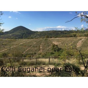 Este and Colli Euganei