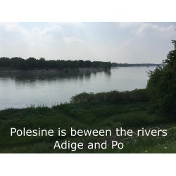 Este: Polesine, where fascism started