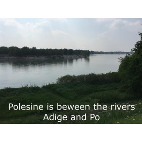 Este: Polesine, where fascism started